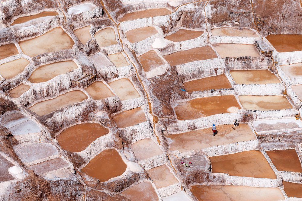 собиратели соли