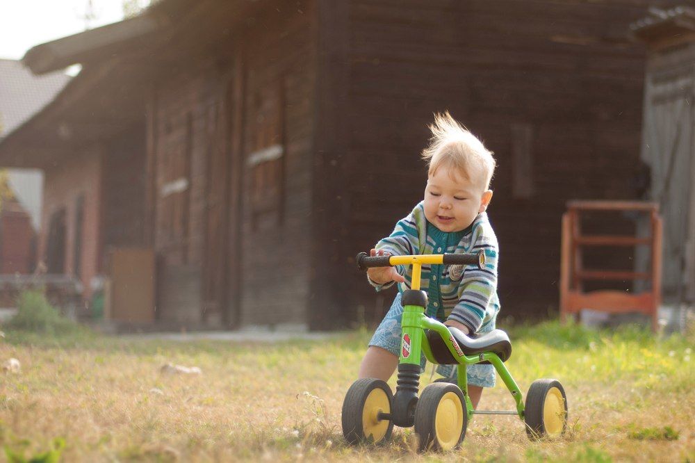 Утро в деревне