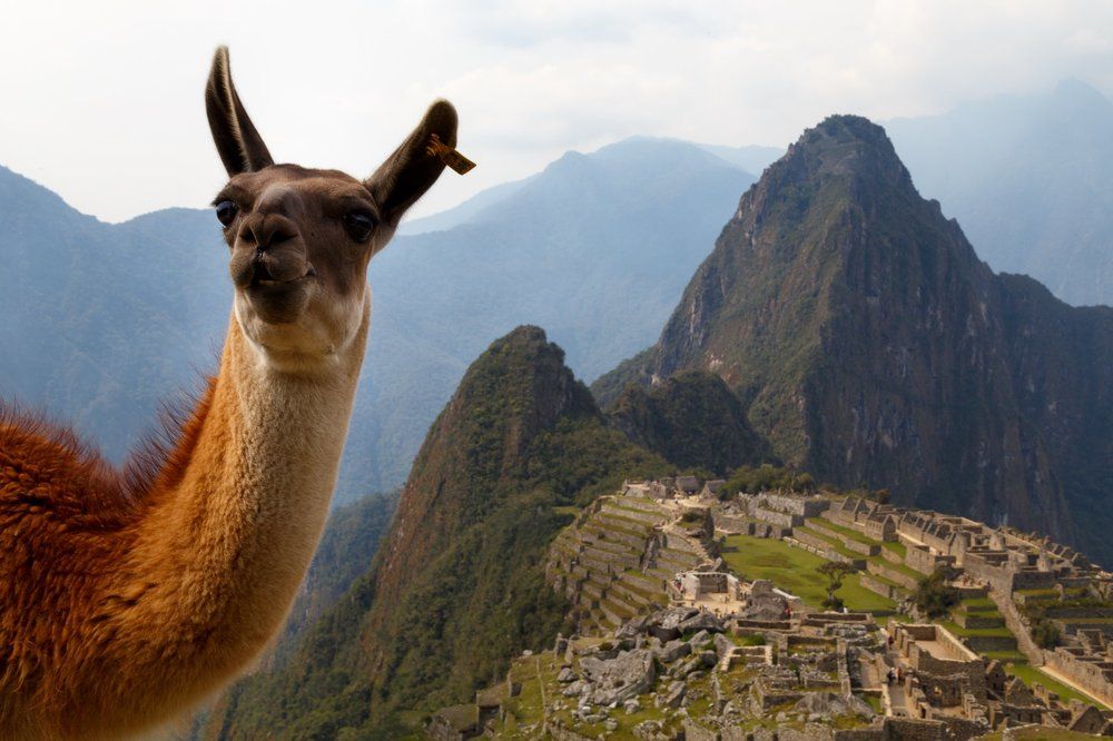 истинные инки