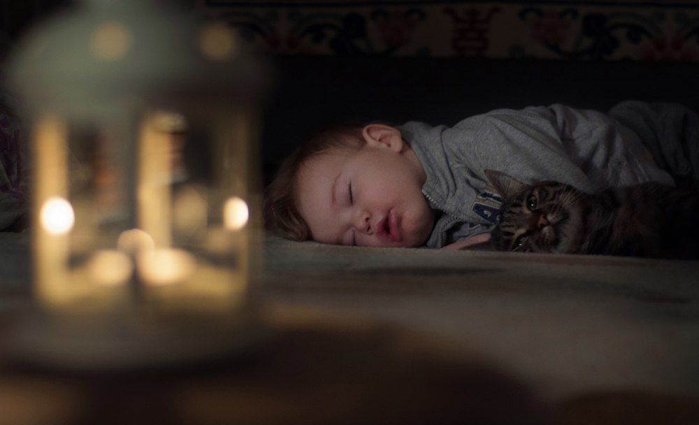 Охранник сна