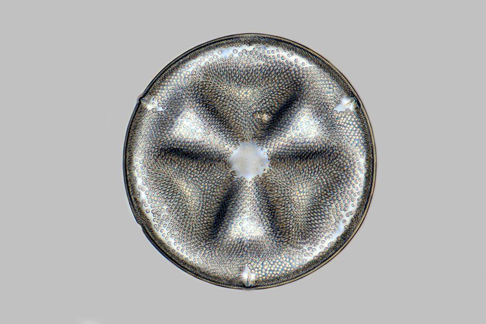 Древнее колесо