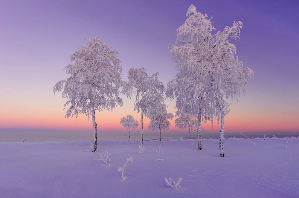 Морозный вечер