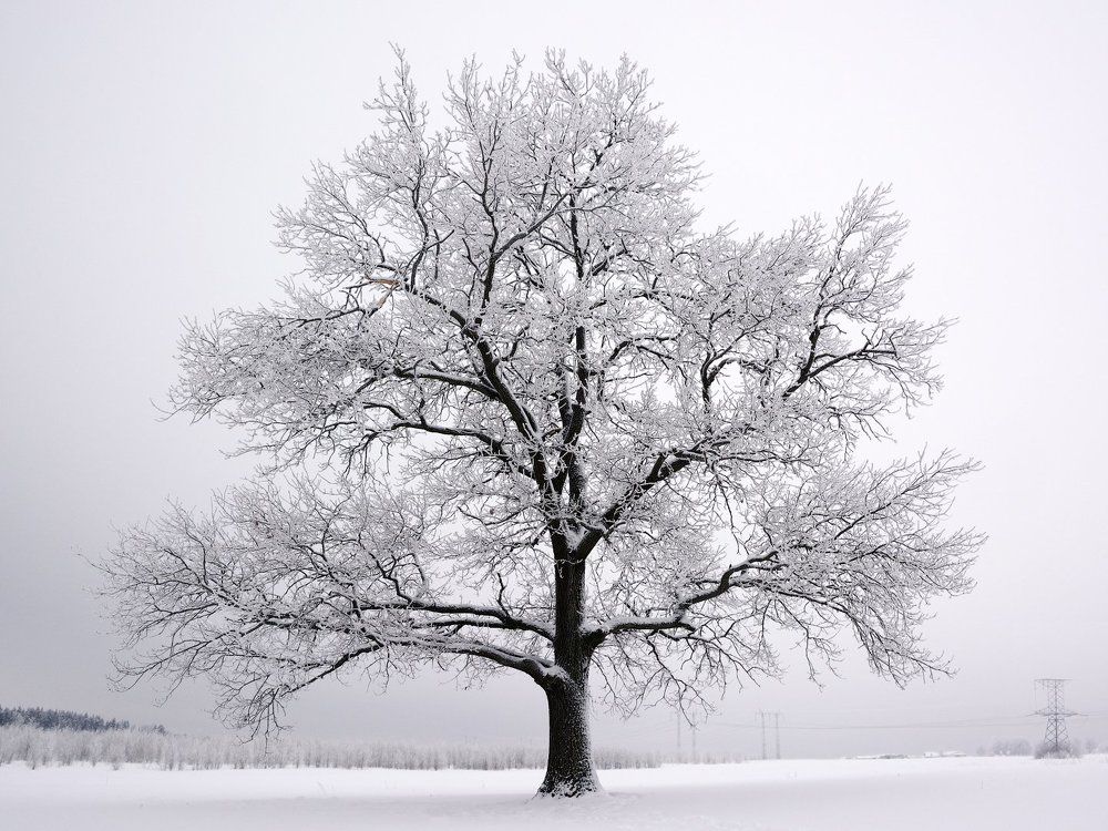 А за городом зима...