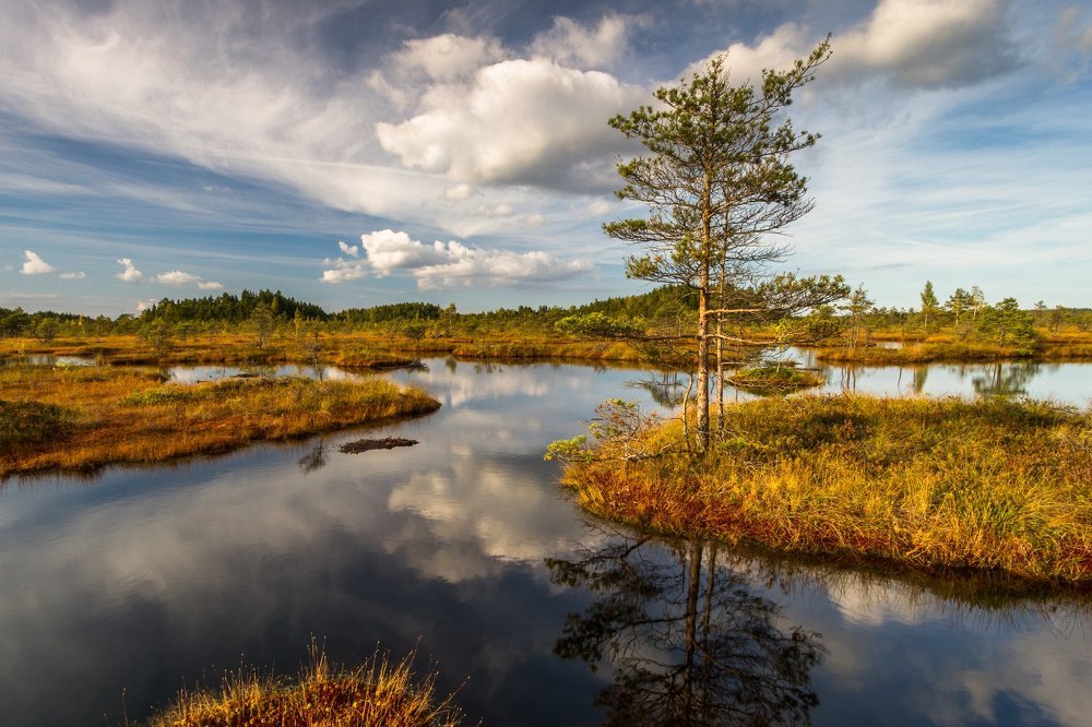 Photograph by Eriks Zilbalodis