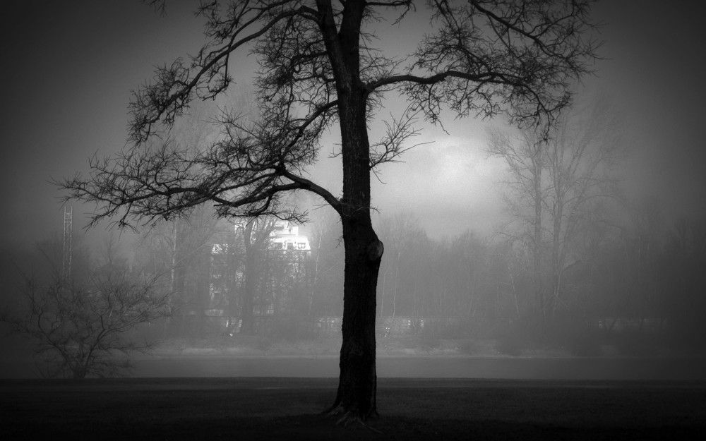 On the bank of very silent river / На берегу очень тихой реки