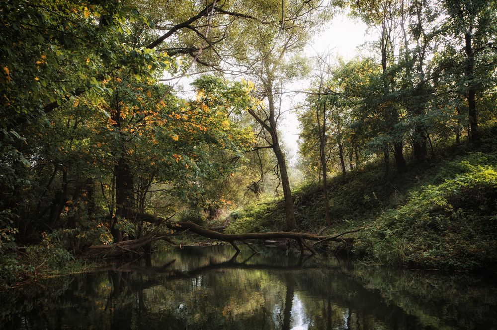 Река Сторожка