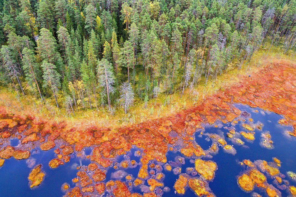 Яркие Краски Северной Природы
