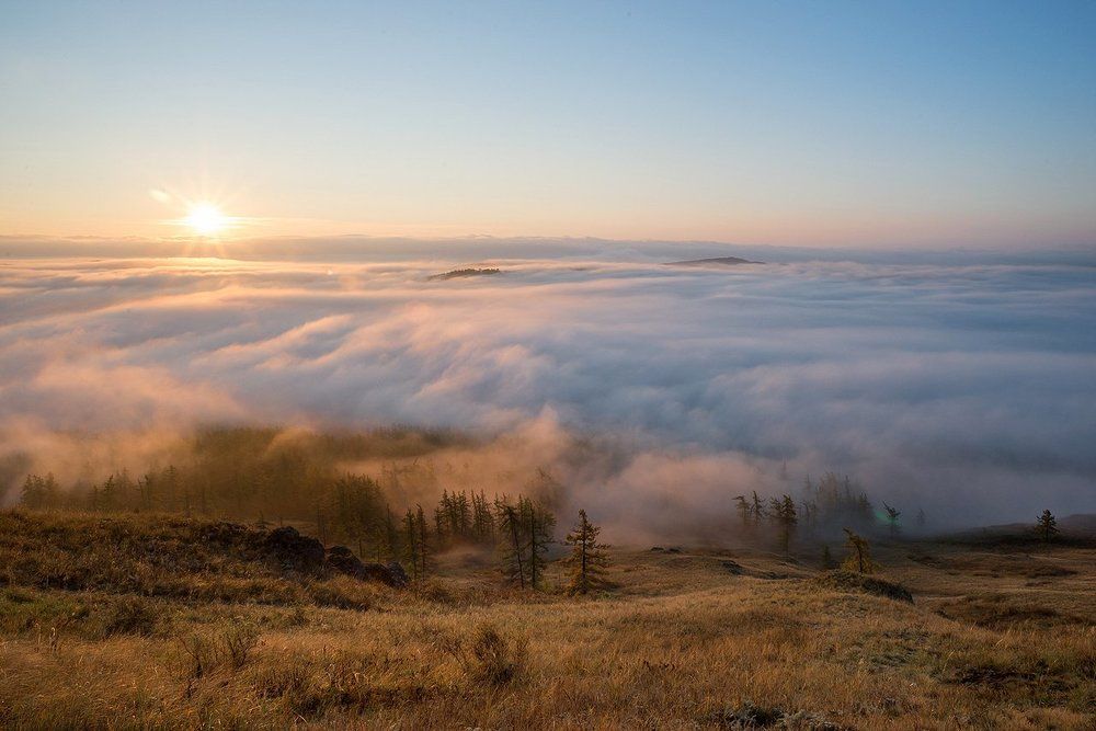 Устлало всё ковром туманным