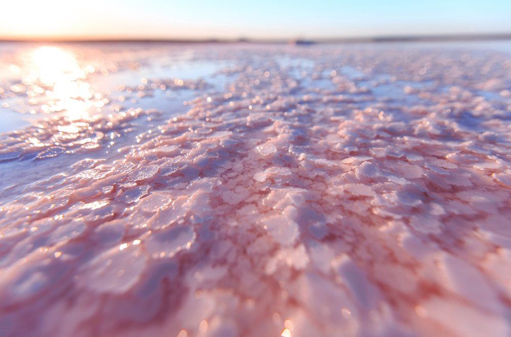 Сказочные розовые сны