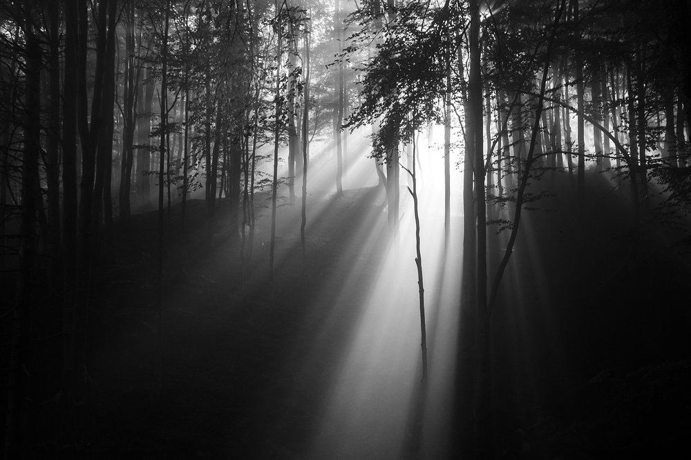 Утро в горах