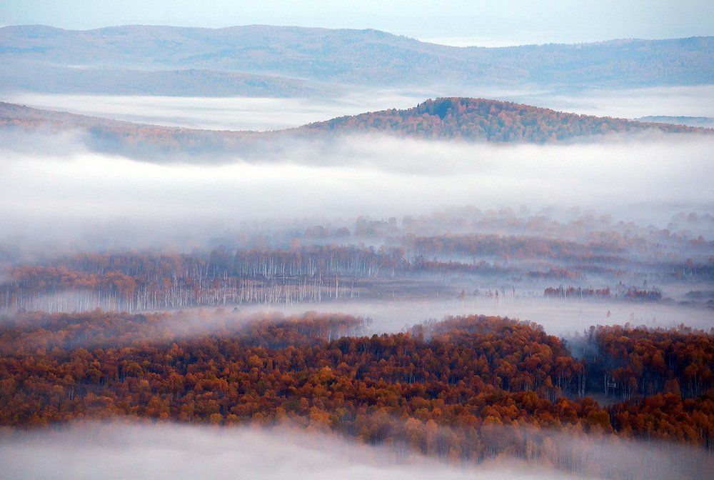 Этюд с осенними туманами