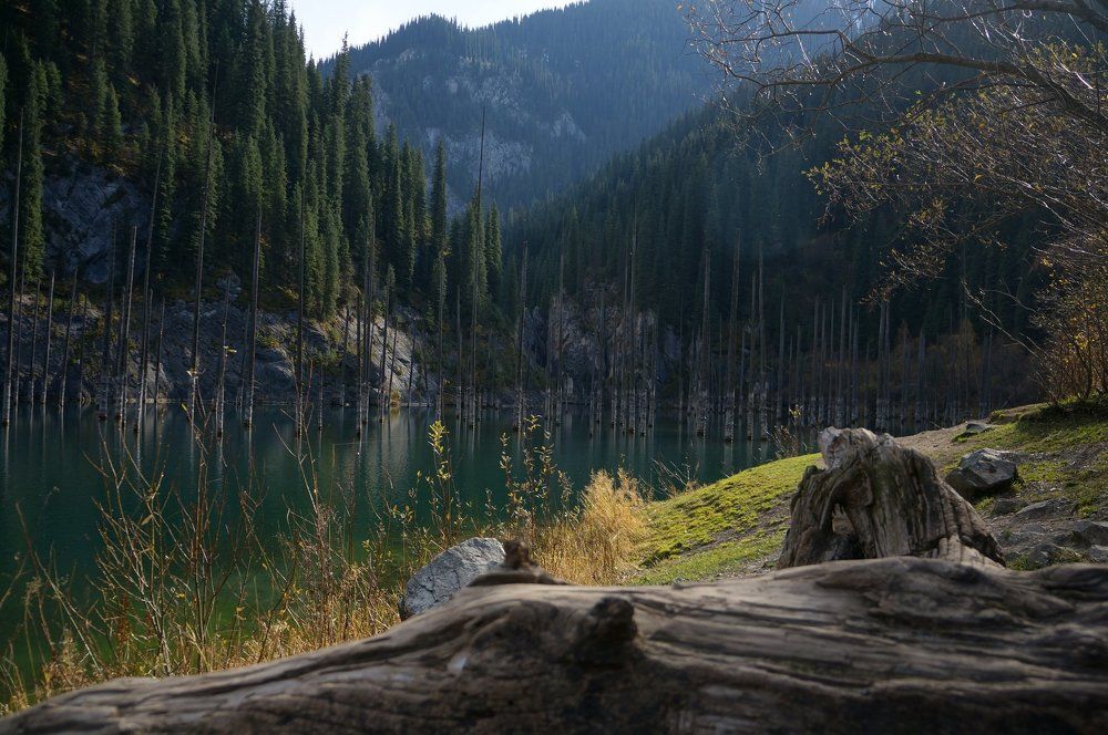 здесь хорошо