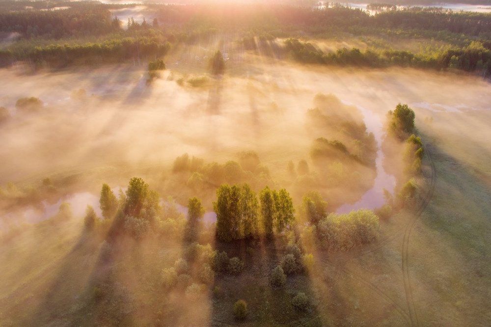 Туманное Утро