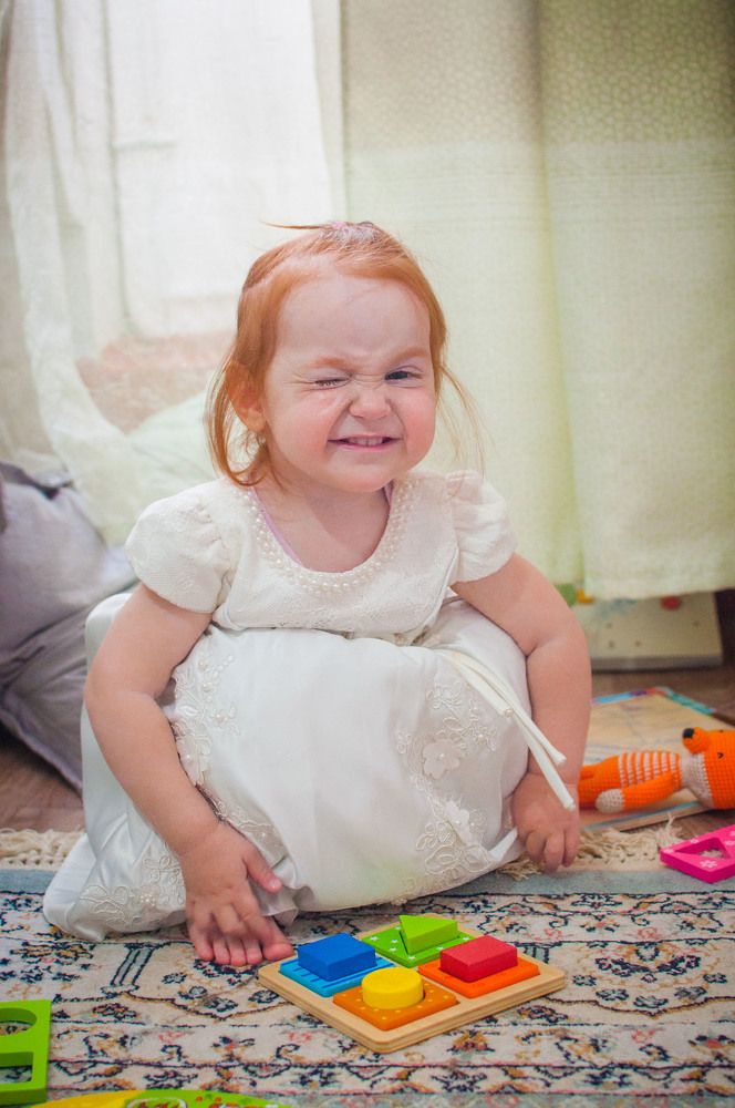 Фотография автора Дарья Шевченко