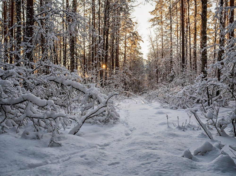 Photograph by Александр Авдушев