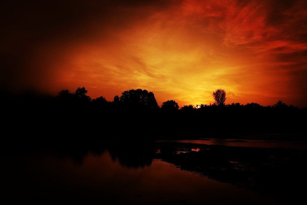 Peace and quiet place in my own village