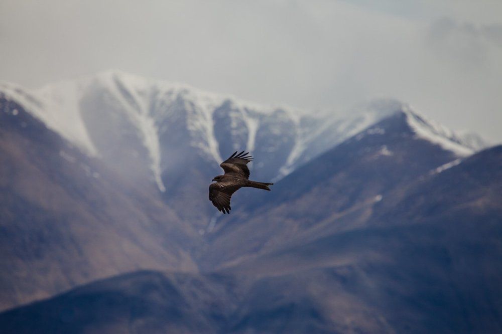 Я свободен!