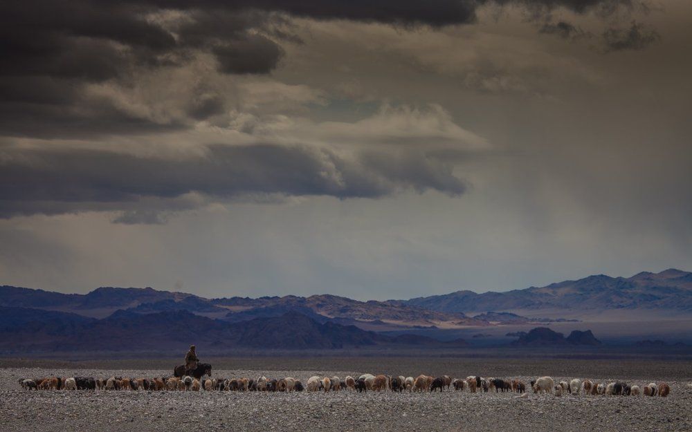 Каменная пустыня