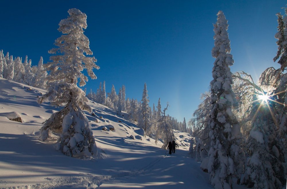 Зимняя сказка