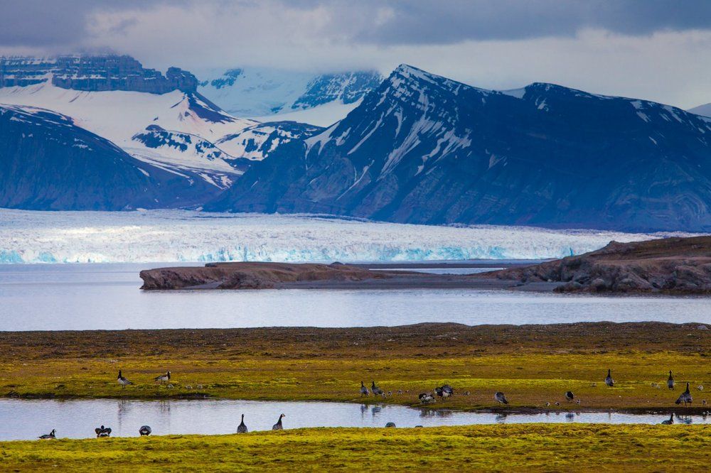 Арктическое лето
