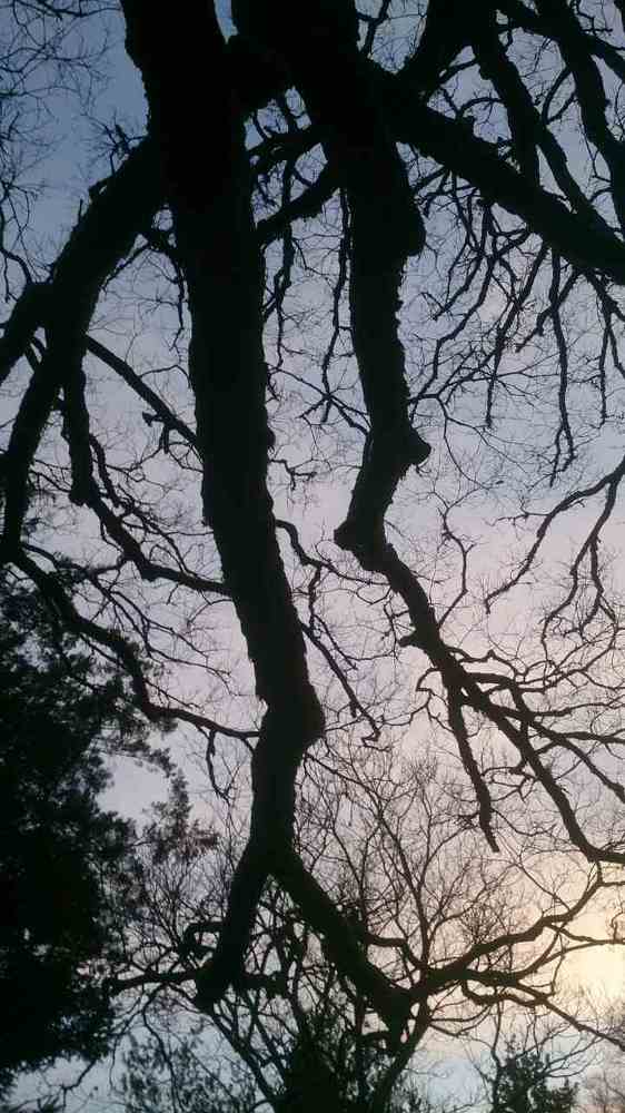 Photograph by Игнат Крошко