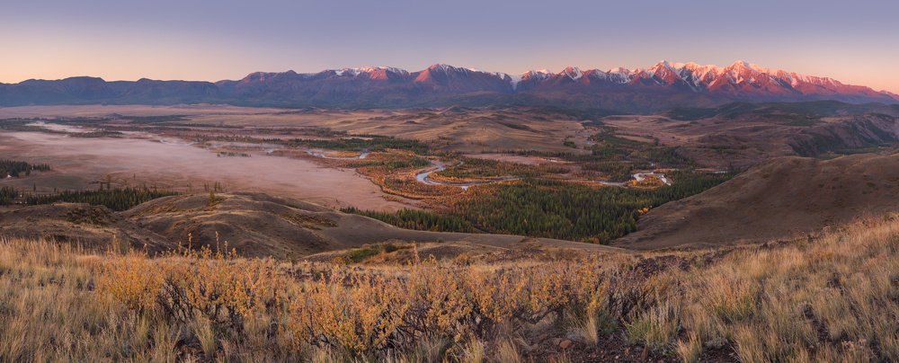 Утро в Курайской степи