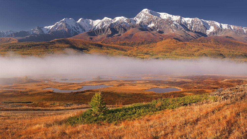 Алтайские зарисовки