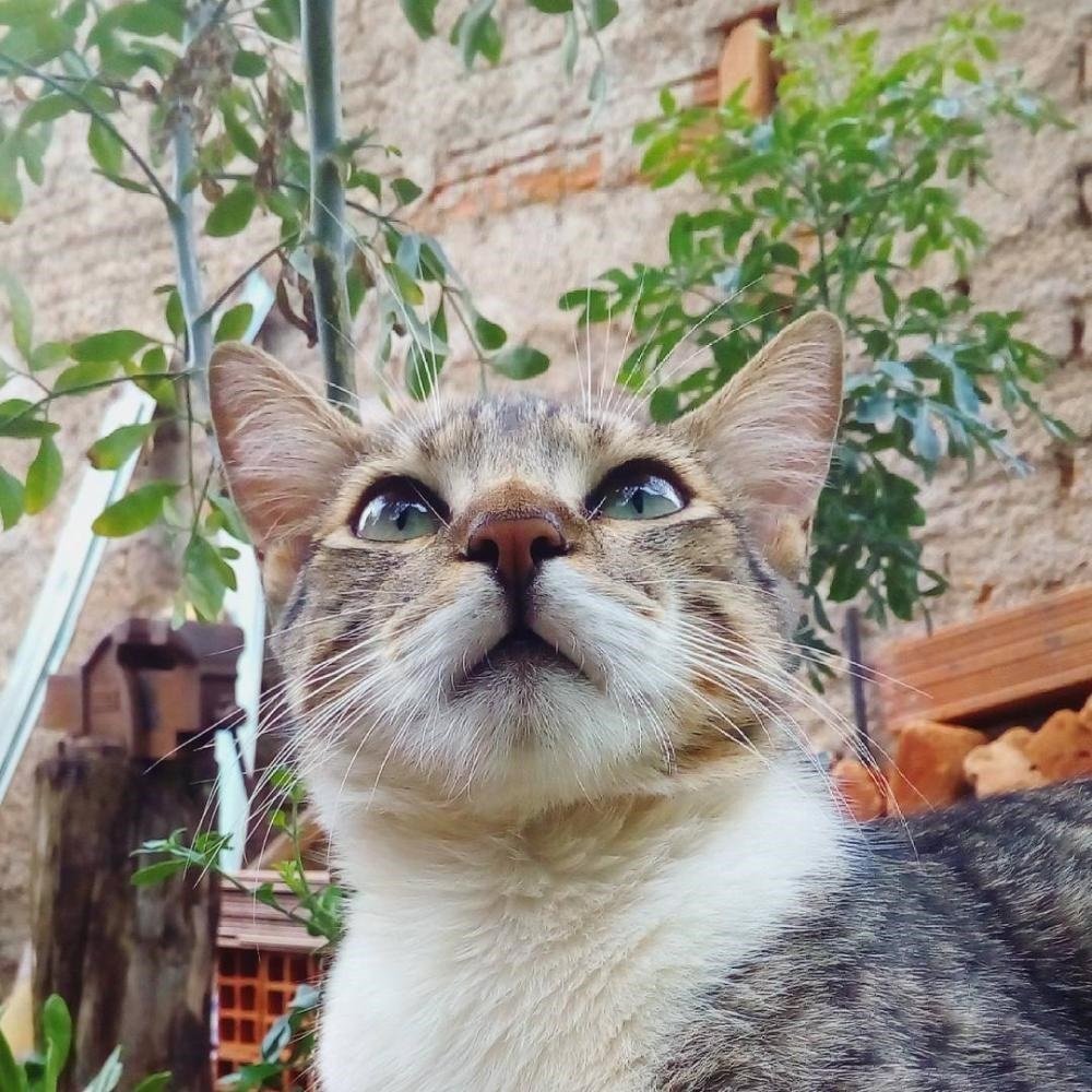 Green or blue, it's true!