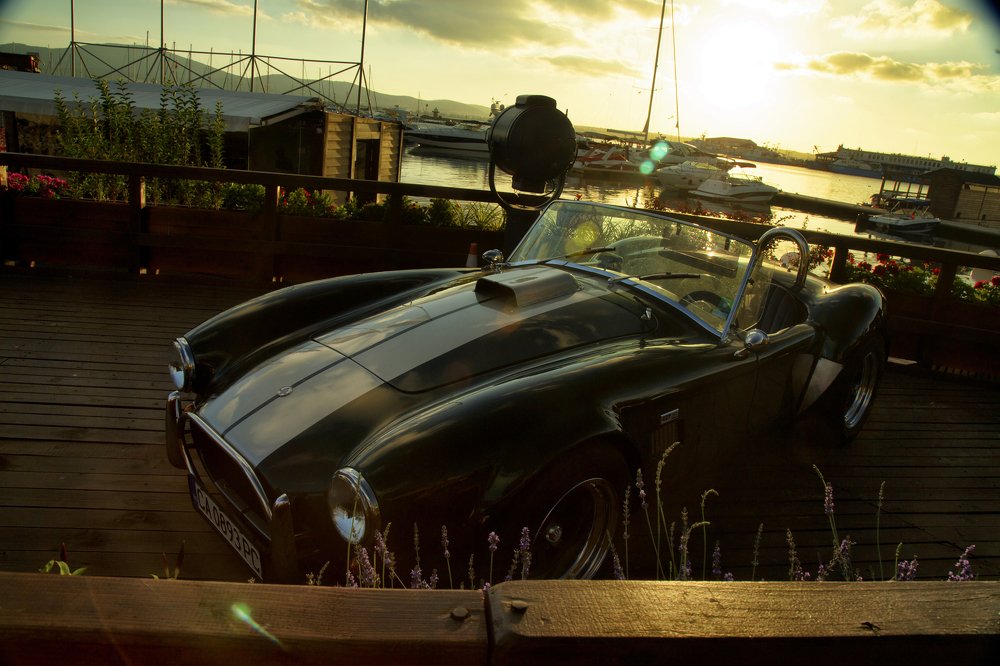 Ягуар в городе!