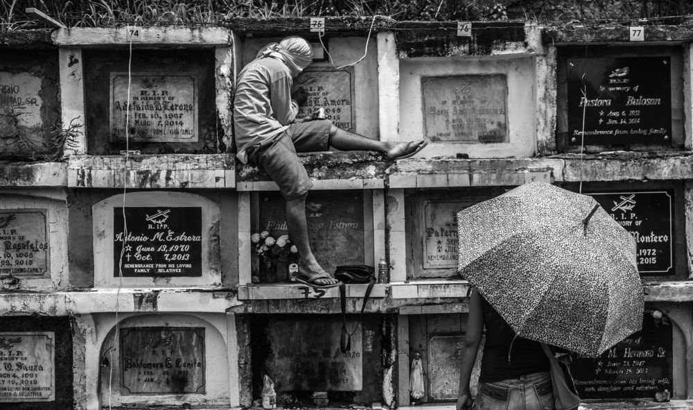 living life from dead