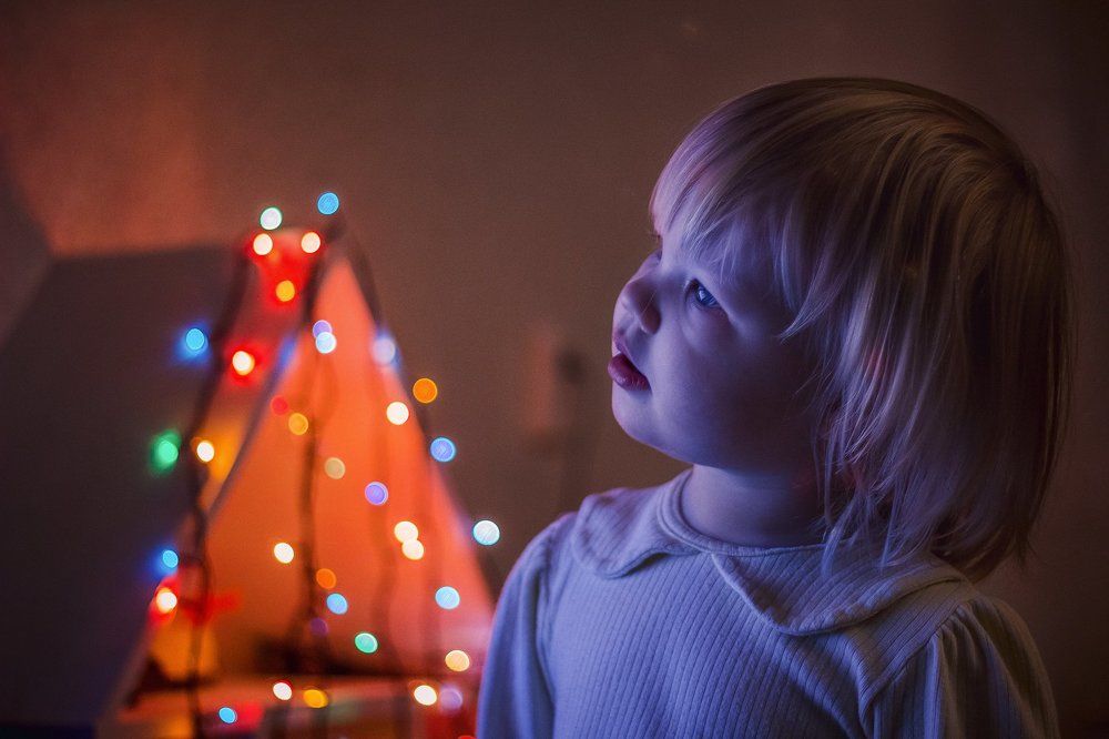 Фотография автора Софья Сергина