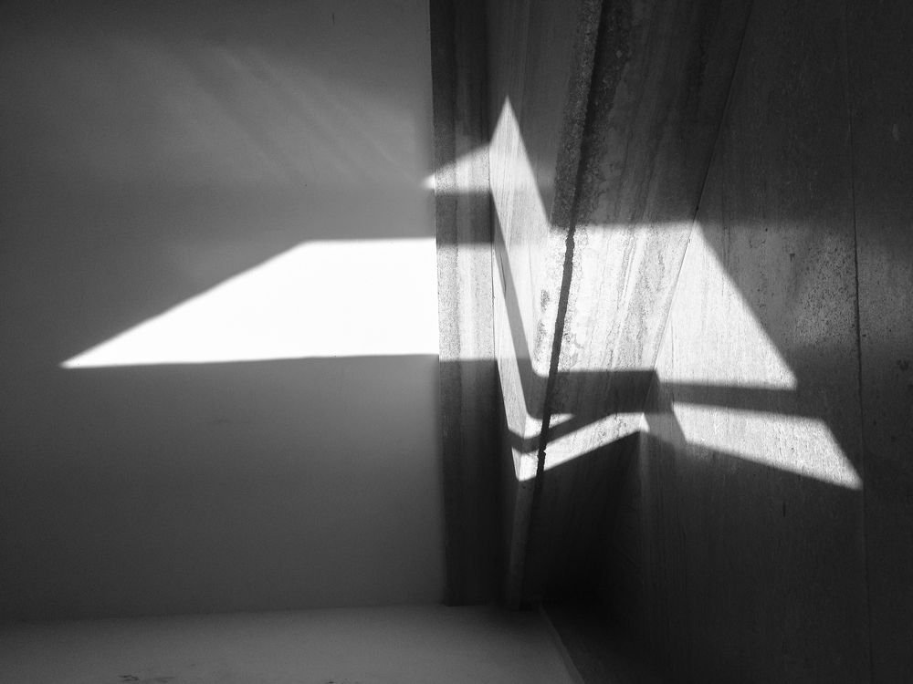 Highlight of a Pheonix