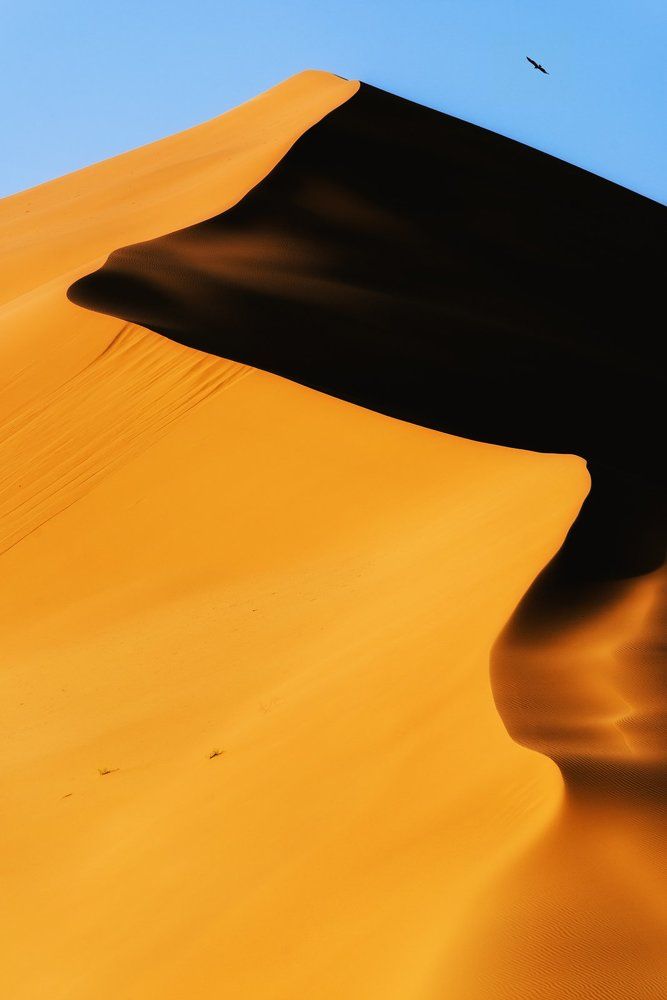Flight over the dunes