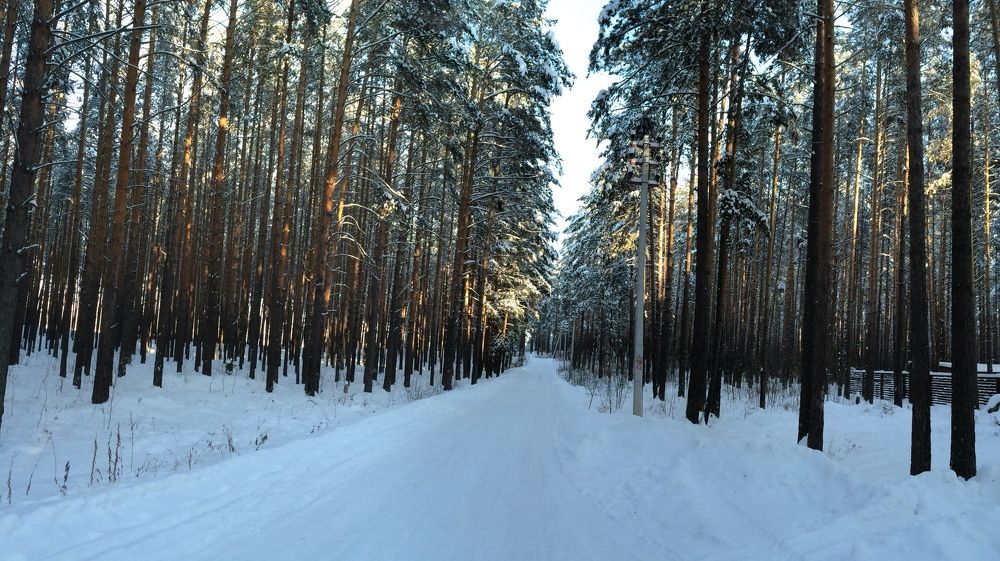 Бажовский заповедник