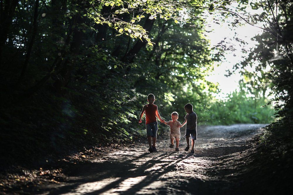 В летнем лесу