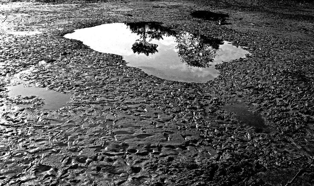 Reflection