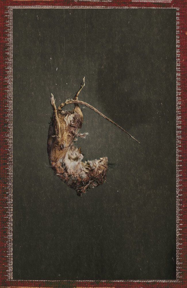 ...и люди как куклы