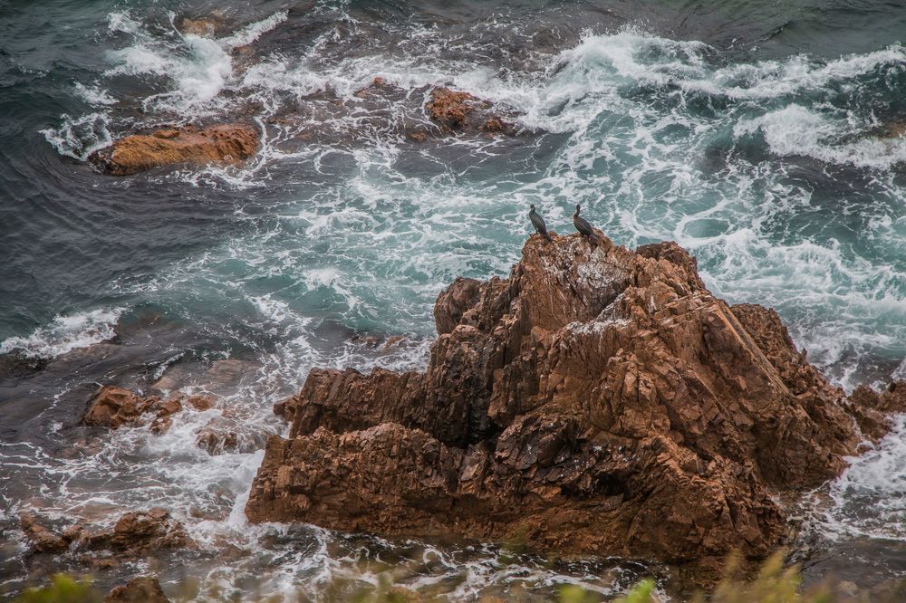 Photograph by Сигида Дмитрий