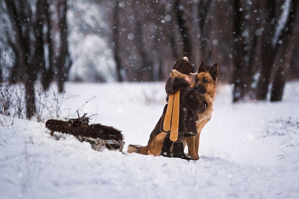 В лес за хворостом