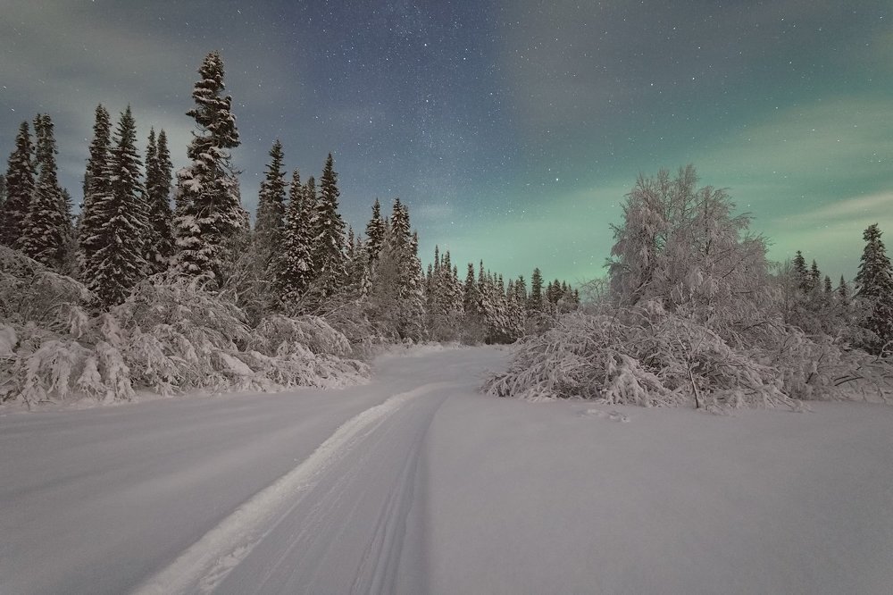 Загородная ночь