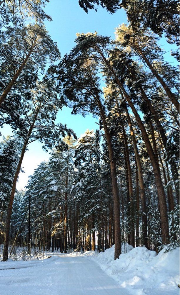 Заповедник