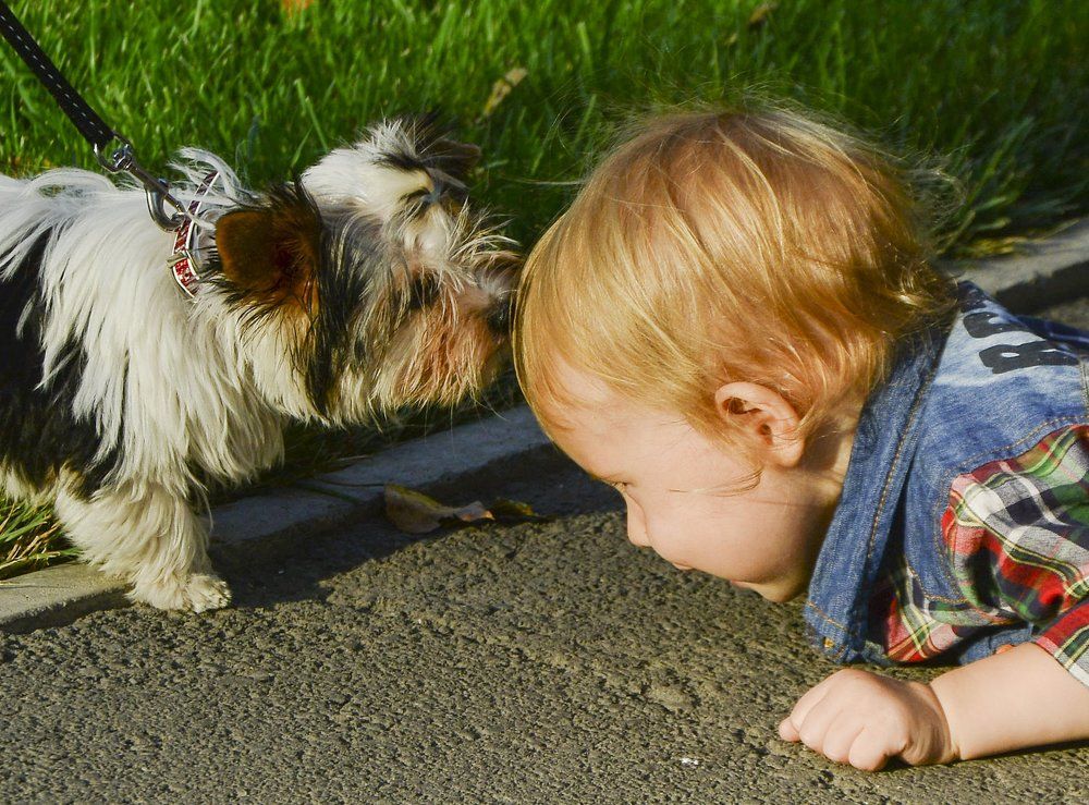 Ну что давай познакомимся.