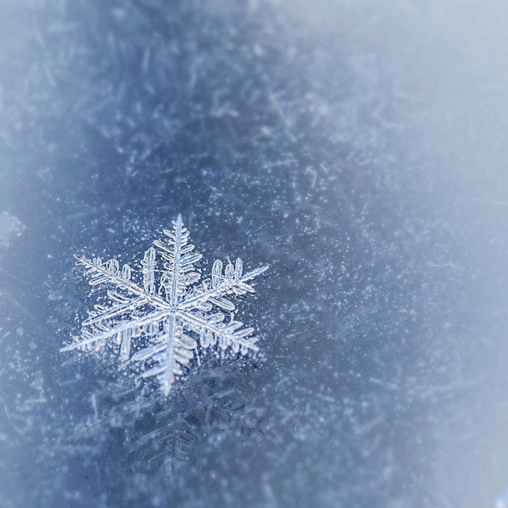 Photograph by Карина Воробьева