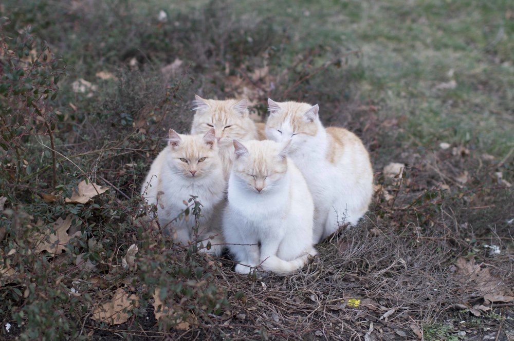 Вместе теплее