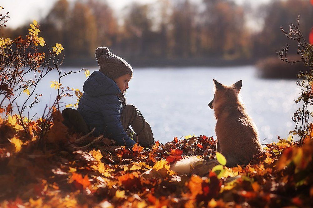 Мой друг Лис