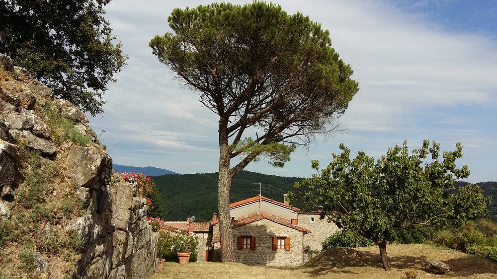 The trees