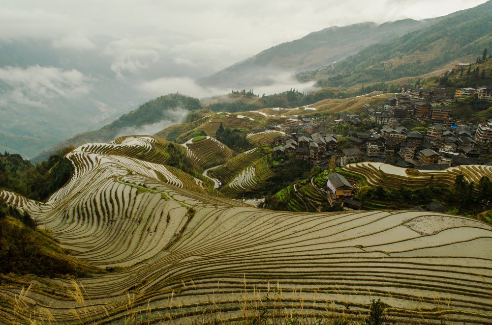 Longji rice terraces