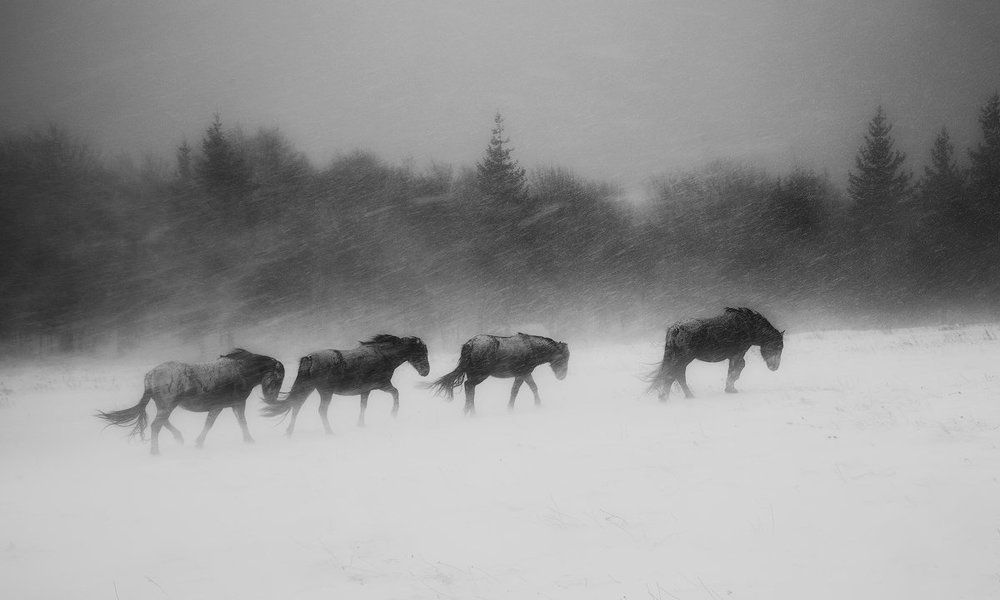 In the heart of the winter