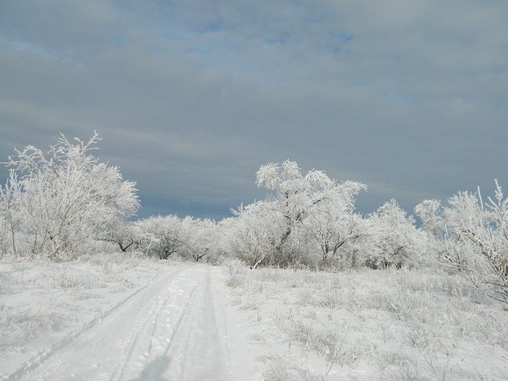 Дорога в зимнюю сказку.