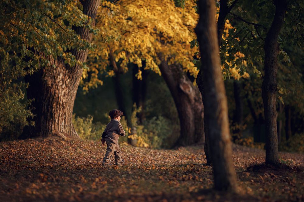 Маленький путешественник